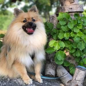 Meet your Posher, Sandra